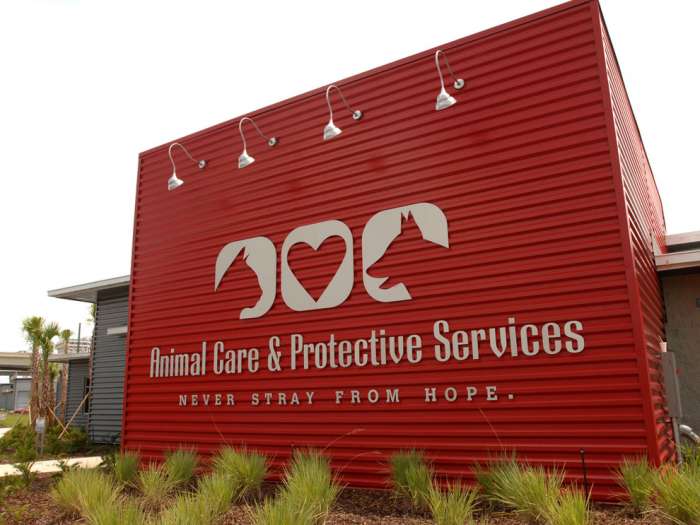 Jacksonville Animal Care Happy Hound Dog Resorts