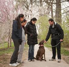 Dog Training with Larry Fine