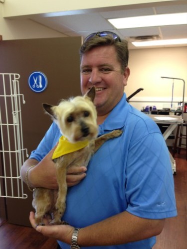 Dog Grooming